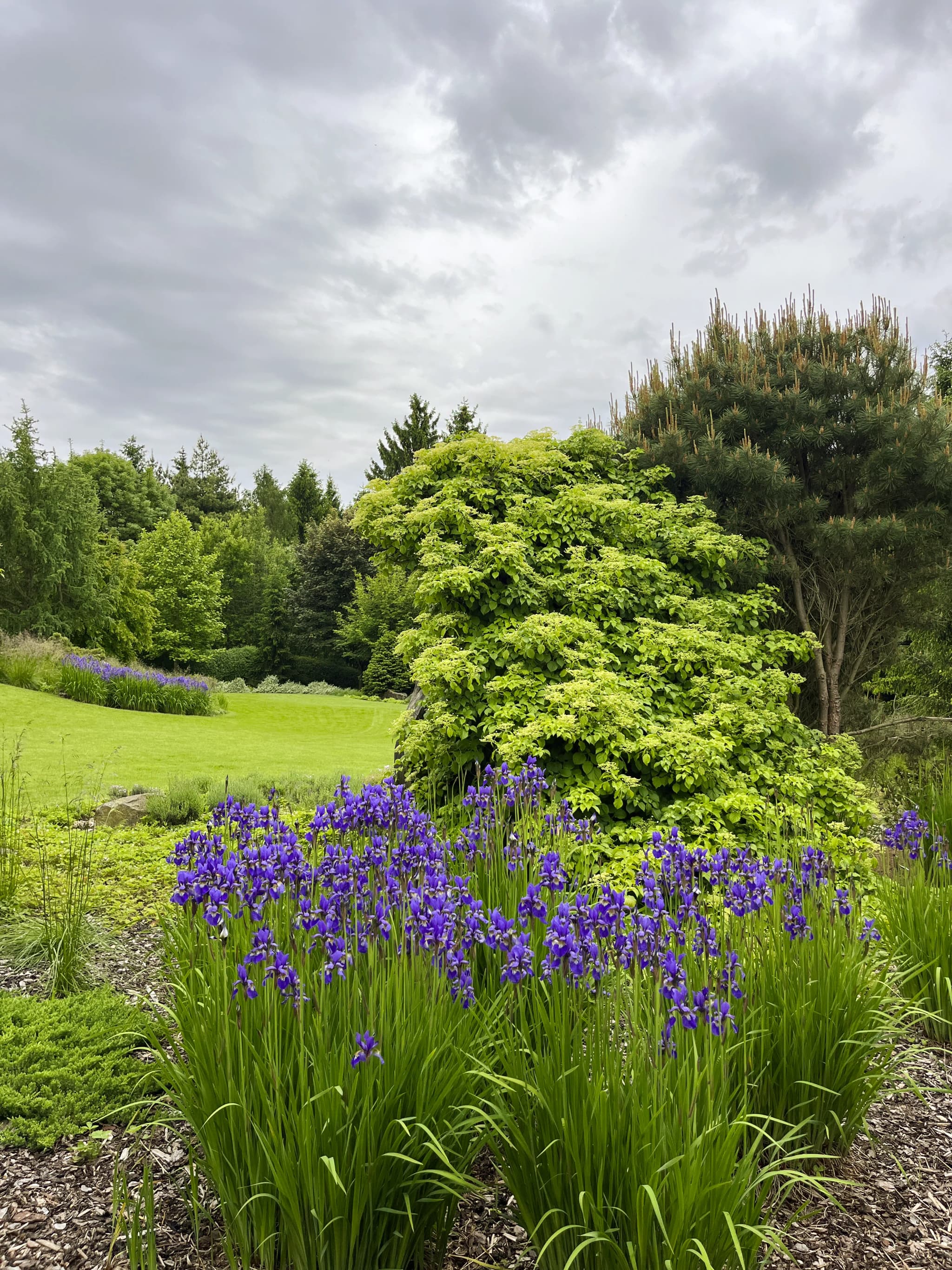 We Discuss Your Vision